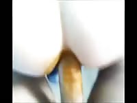 Scat whore fucking a dirty ass