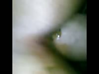 Hard cock penetrates an ass full of shit