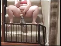 Fat whore on cat porn beastiality video