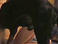 Living room sex of a slut and a k9 porn