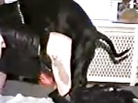 Dog-style sex with k9 lady