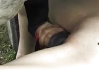 Horse creampie the pussy of a naughty whore
