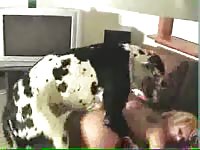 Busty slut got pounded by dog xxx
