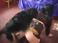 Couch sex of a teen and her dog hardcore beastiality