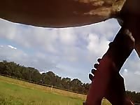 Slut jacking off a horse dick