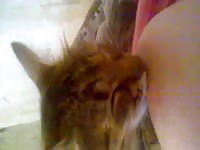 Pet porn cat loving her owner's nipples