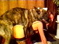 Hardcore animal porn with sexy babe