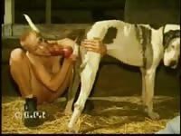 Dog orgasm after getting pleasured by naked bitch