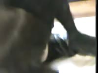 K9 dog sex with sexy bitch