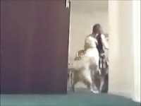 Furry dog having sex with his teen owner amateur beastiality
