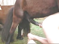 Tight hole got fucked by a horse xxx