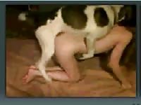 Furry k9 sex with a skinny whore on the bed