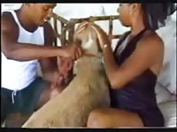 Homemade dog sex with a pervert couple