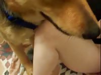 Brown dog banging a beastie gal