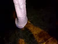 Hardcore animal porn in the middle of the night
