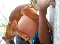 Amateur dog porno with a bitch