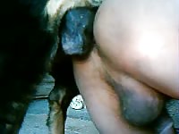 Zoophilia porn film with gay beast