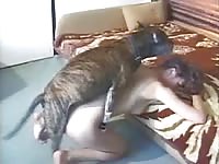 Young teen beastiality lover got fucked by a dog