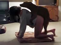 Short-haired chick had k9 dog sex