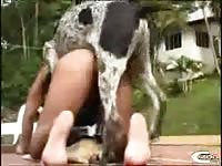 Outdoor dog sex with ebony beastiality lover