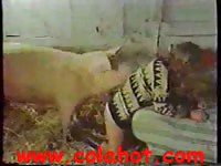 Zoo porn xxx with farm caretaker