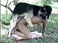 Dalmatian dog xxx fucking a petite babe