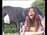 Brunette babe got fucked by horse xxx