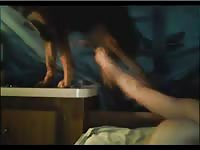 Beastie gal on animal sex videos