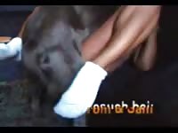 Dog oral sex with a sexy babe