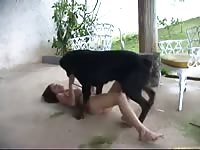 Garden sex with a beastie gal and her pet k9