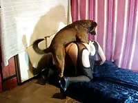 Beastiality lover enjoying her brown dog's cock