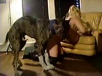 K9 lady got smashed on the couch