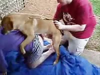 Dog anal sex with kinky teen
