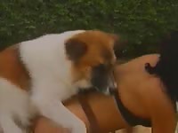 Backyard sex of a bitch and a dog xxx