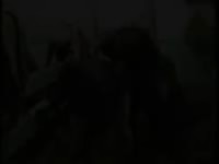 Lara and horse banging in the stable