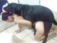 Animal dildo destroys a wet matured pussy