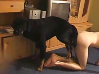 Living room sex with a black pet dog xxx