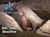 Zoopussy got banged by big pig