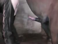 Sexy slut got fucked by a small dick beastiality xxx