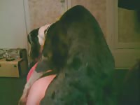 Zoofilia xxx with big black dog