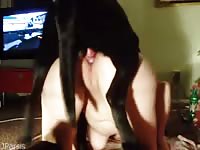 Shaved pussy and a dog forced beastiality
