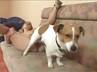 Beastiality lover and pet got stuck like dogs