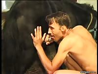 Gay jerking off a horse's cock