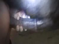 Big horse dick penetrates a tight hole