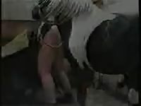 Naughty man and a horse xxx