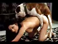 Brunette babe on k9 knot porn video
