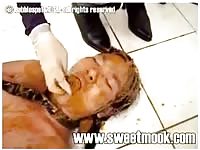 Forcing a poop into a sleeping whore's mouth