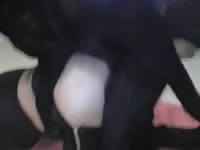 Dog banging a slut beastiality tumblr