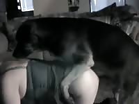 Amateur beastiality with blonde babe