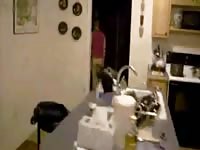 Big tits babe on beastiality porn film